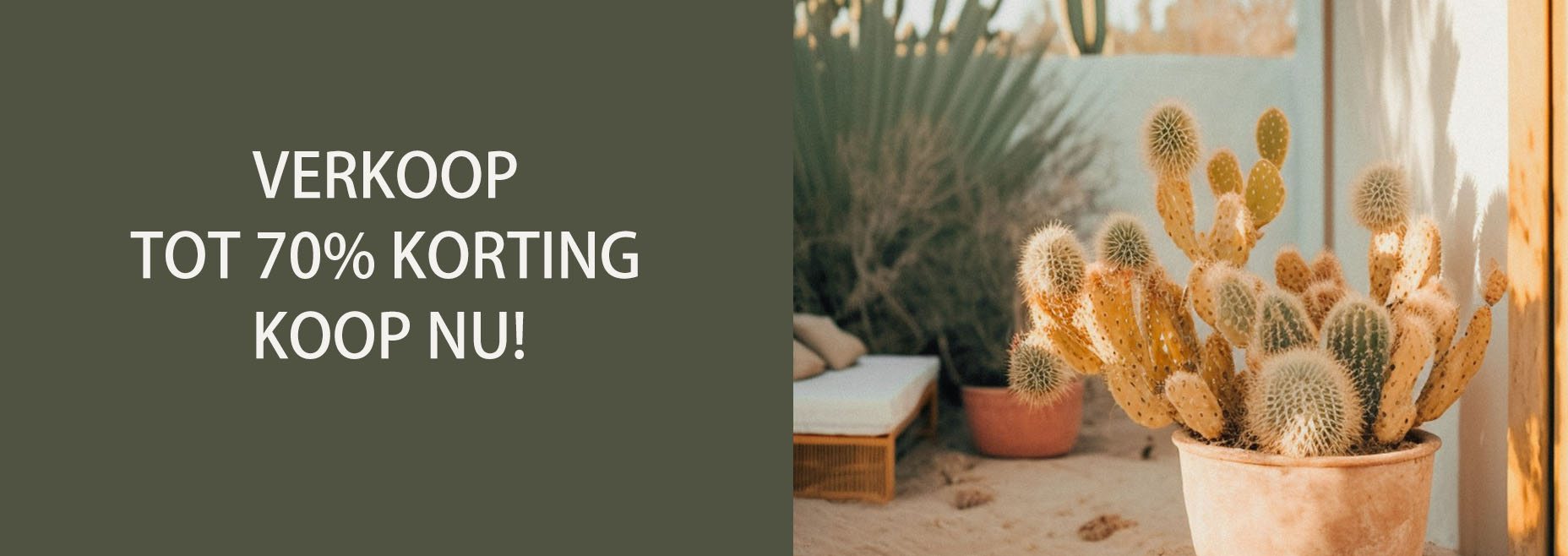 Binnenplanten Winkel -Binnenplanten Winkel 90PP