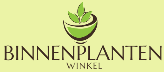Binnenplanten Winkel